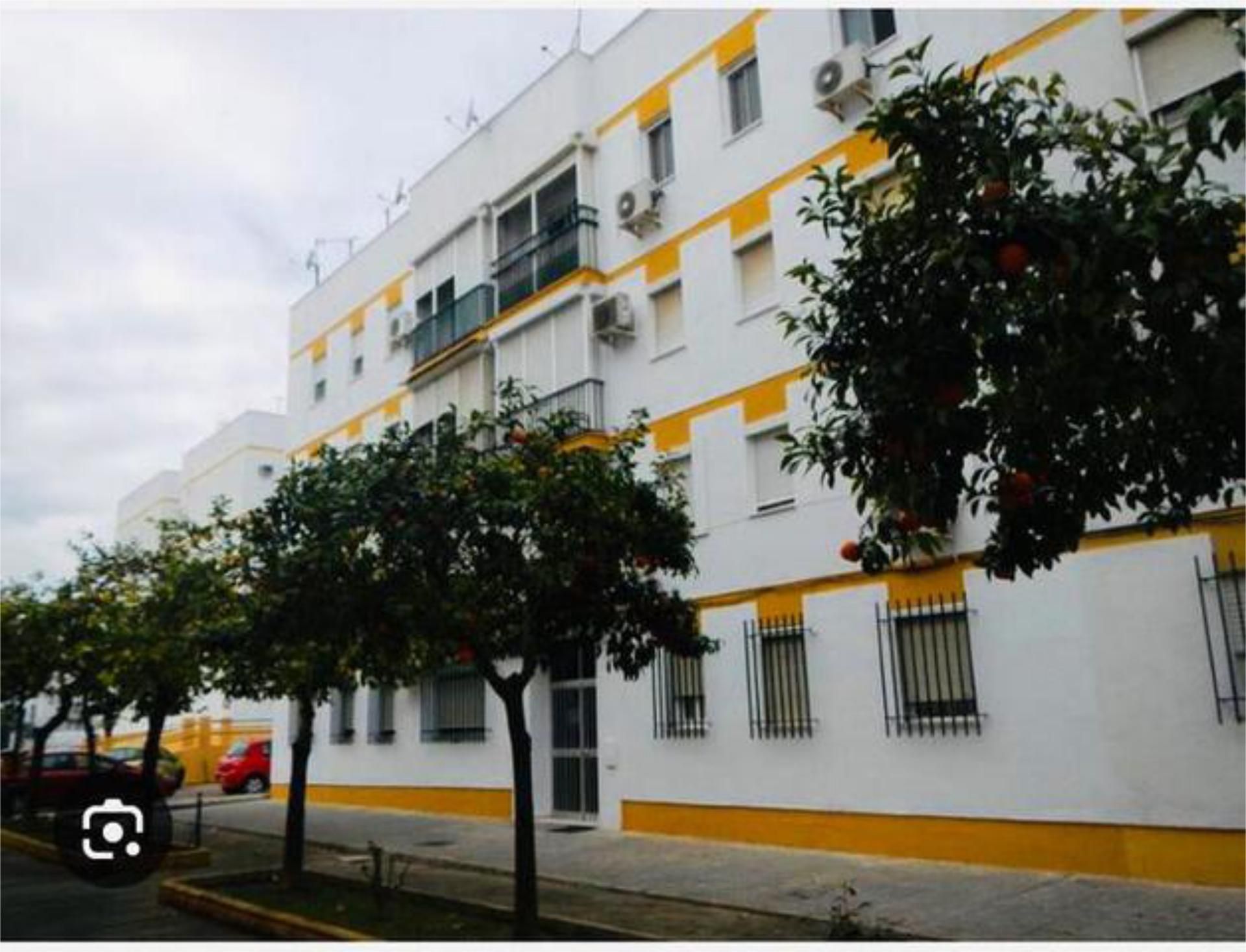 Wohnung miete in Castilleja de la Cuesta Wohnung miete in Castilleja de la Cuesta