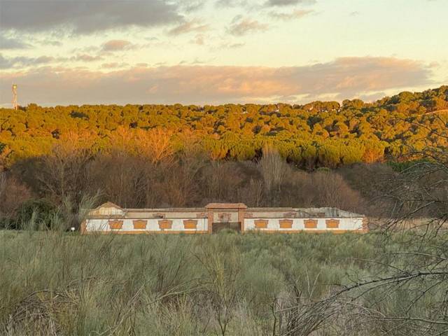 Casa-chalet en Alquiler en Carretera M-501 San Martin de Valde, 110 en Centro