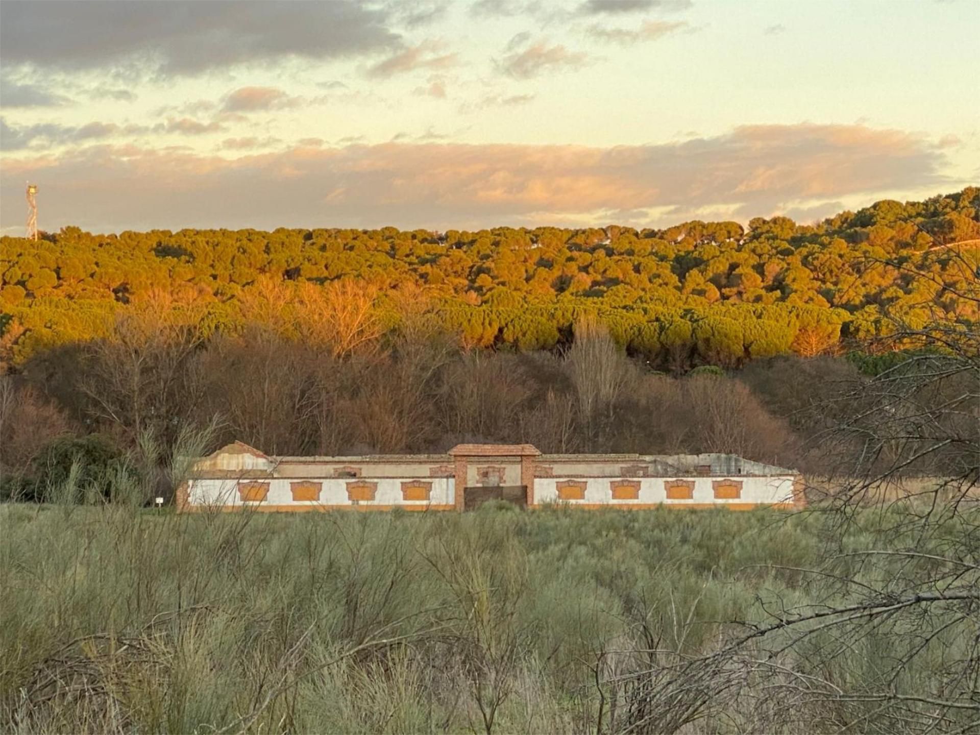 House or chalet to rent in Road Carretera M-501 San Martin de Valde, 110, Centro Exterior view of House or chalet to rent in Villaviciosa de Odón