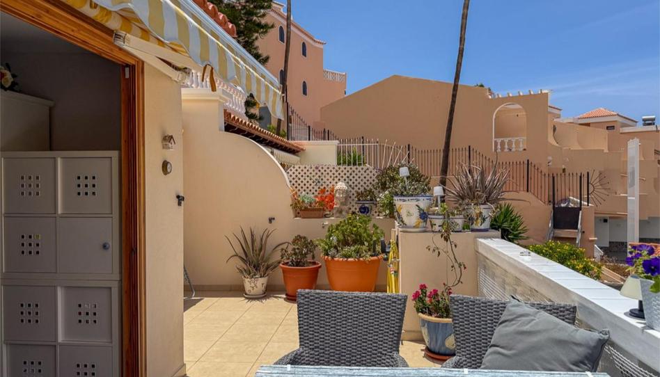 Flat for sale in Calle Diario de Avisos, 3, San Eugenio Alto, Adeje - image 1 Photo 1 of Flat for sale in Calle Diario de Avisos, 3, San Eugenio Alto, Adeje