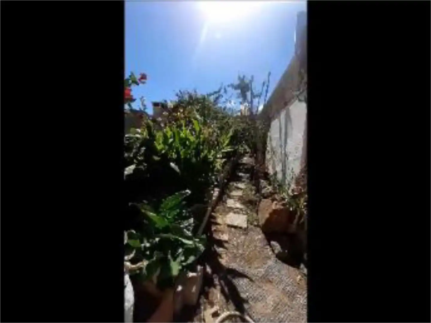 Jardí de Casa adosada en venda en Icod de los Vinos