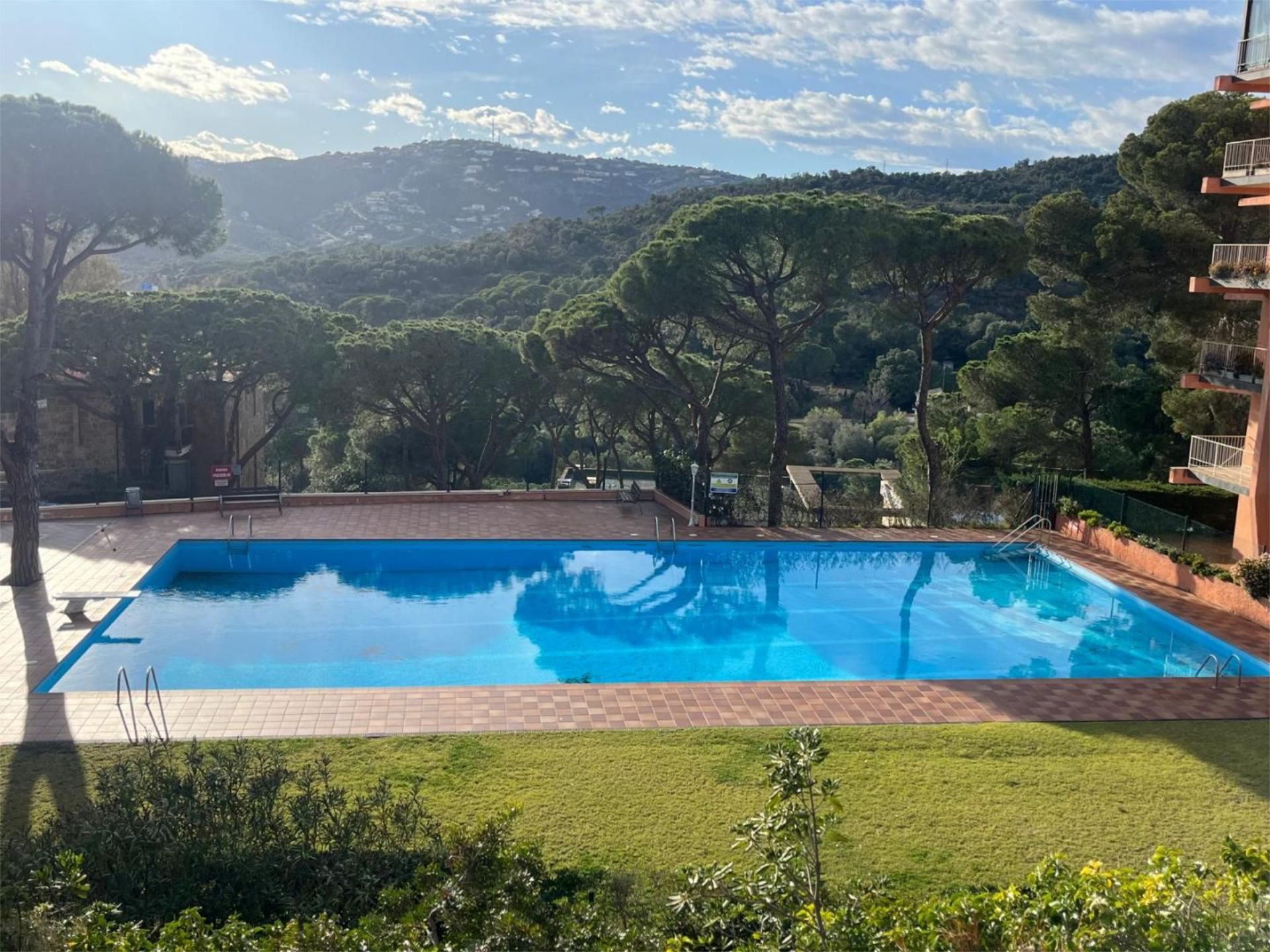 Single-family semi-detached to rent in Urbanització els Pins, 1, Los Pinos - Politur Swimming pool of Single-family semi-detached to rent in Castell d'Aro, Platja d'Aro i s'Agaró with Air Conditioner, Heating and Private garden