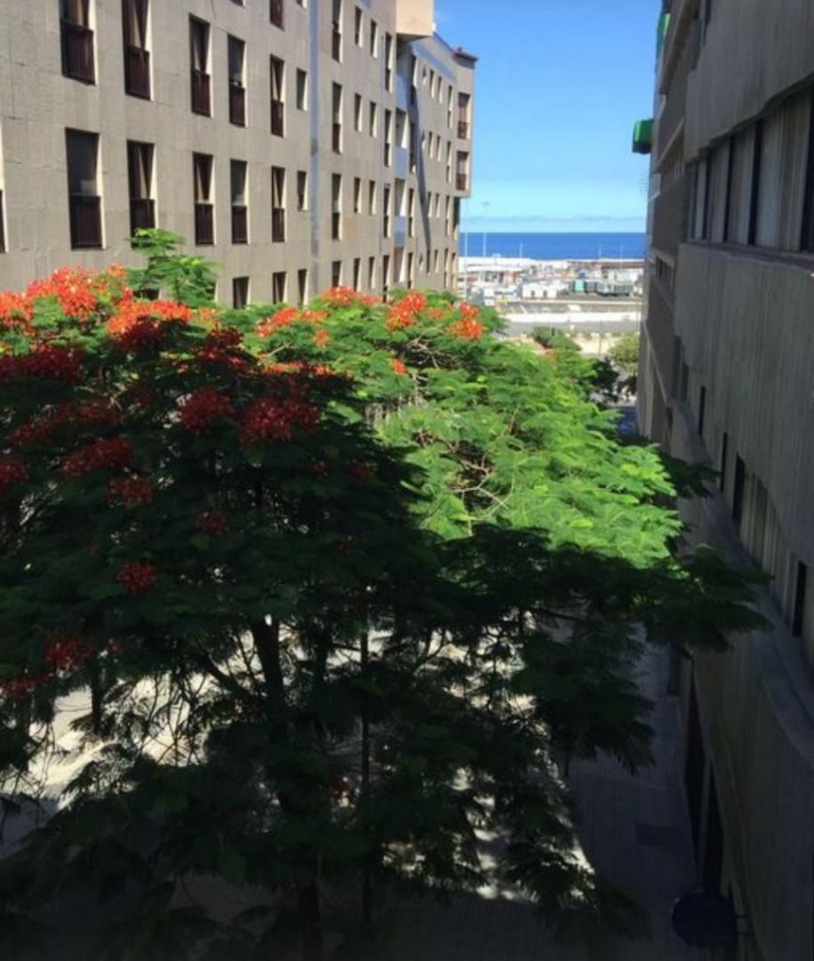 Piso de alquiler en Calle de San Francisco, 20, Centro Vista exterior de Piso de alquiler en Santa Cruz de Tenerife Capital con Videoportero