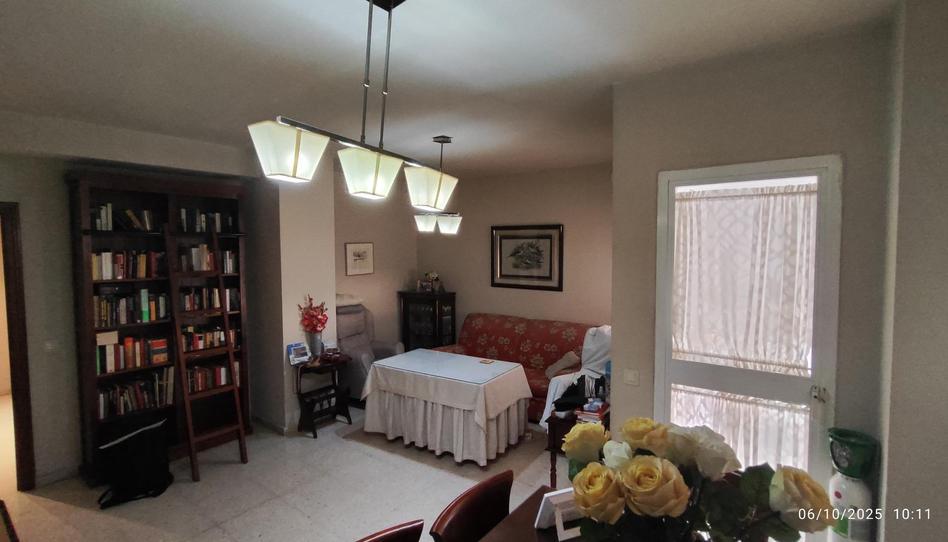 Flat for sale in Calle Parque de Cazorla, 1, Pino Montano - Consolación, Sevilla - image 1 Photo 1 of Flat for sale in Calle Parque de Cazorla, 1, Pino Montano - Consolación, Sevilla