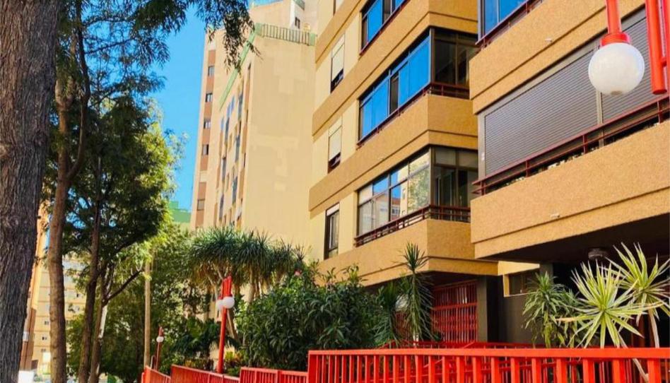 Pis en venda a Calle Tirso de Molina, 5, La Salle - Cuatro Torres, Santa Cruz de Tenerife - imatge 1 Foto 1 de Pis en venda a Calle Tirso de Molina, 5, La Salle - Cuatro Torres, Santa Cruz de Tenerife