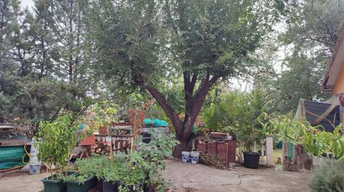 Foto 5 de Casa o chalet en venta en Calle la Coruña, 10v, Colmenar de Oreja, Madrid