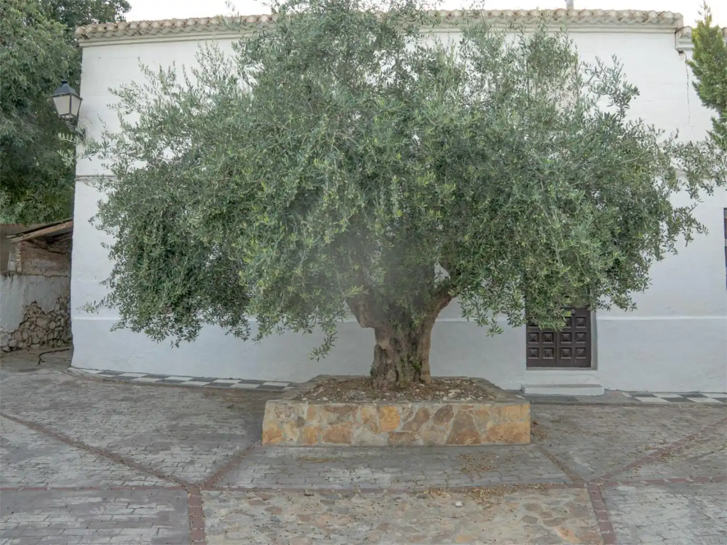 Casa adosada en venda a Carretera Colomera, Moclín Jardí de Casa adosada en venda en Moclín amb Aire condicionat, Calefacció i Jardí privat