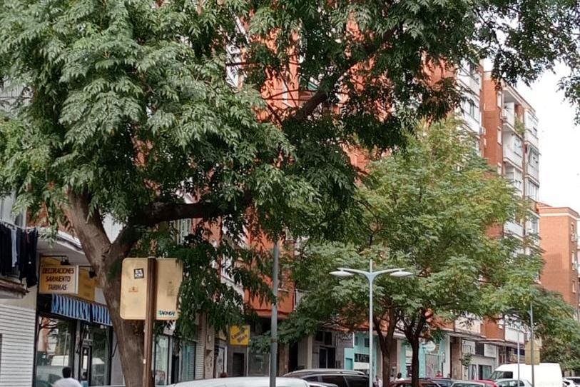 Pis en venda a Calle Polvoranca, 39d, Parque Ondarreta - Urtinsa, Madrid - imatge 1 Foto 1 de Pis en venda a Calle Polvoranca, 39d, Parque Ondarreta - Urtinsa, Madrid