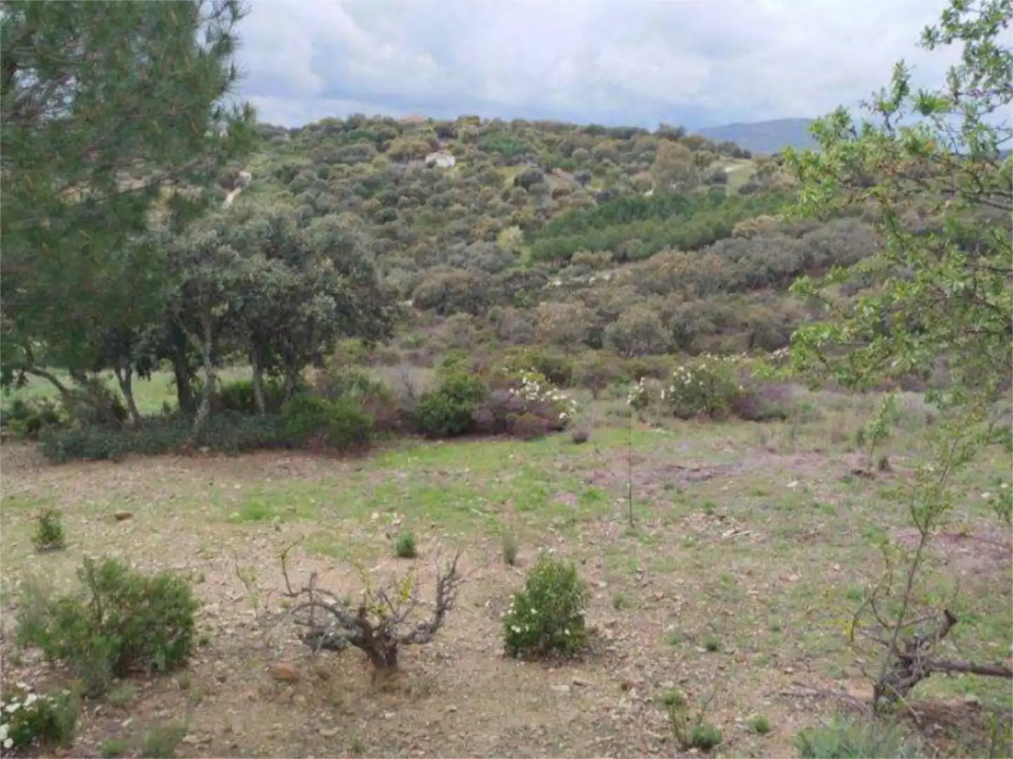 Pis en venda a Avenida de Castilla la Mancha, 9, Castellar de Santiago Pis en venda en Castellar de Santiago amb Jardí privat, Terrassa i Traster