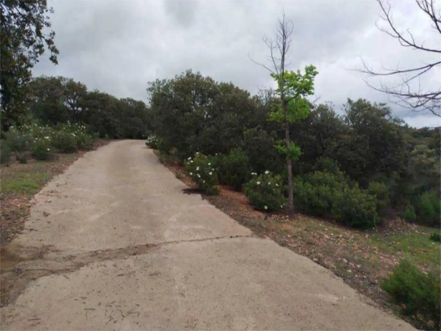 Pis en venda a Avenida de Castilla la Mancha, 9, Castellar de Santiago Pis en venda en Castellar de Santiago amb Jardí privat, Terrassa i Traster