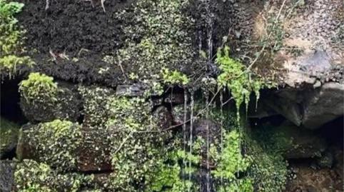 Casa o xalet en venda a Baztan, Navarra - imatge 4 Foto 4 de Casa o xalet en venda a Baztan, Navarra