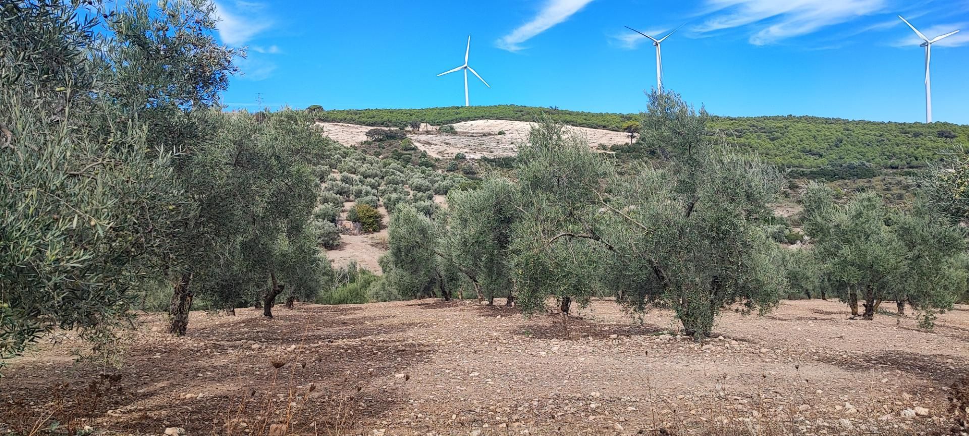 Finca rústica en venda en El Saucejo amb Jardí privat, Terrassa i Piscina