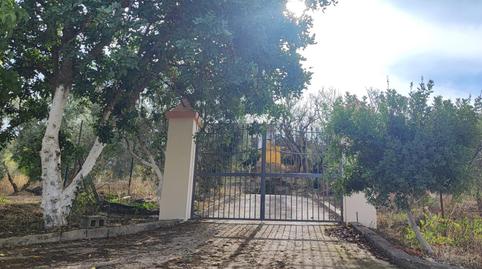 Foto 2 de Finca rústica en venda a Calle Mariana Pineda, 23, El Saucejo, Sevilla