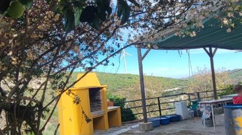 Foto 3 de Finca rústica en venda a Calle Mariana Pineda, 23, El Saucejo, Sevilla