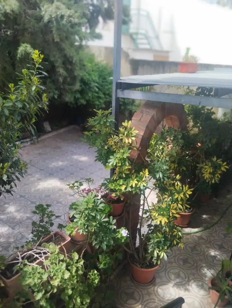Detached homes for sale in Calle Cerrillo, 17, Vilches Garden of Detached homes for sale in Vilches with Air Conditioner, Terrace and Balcony