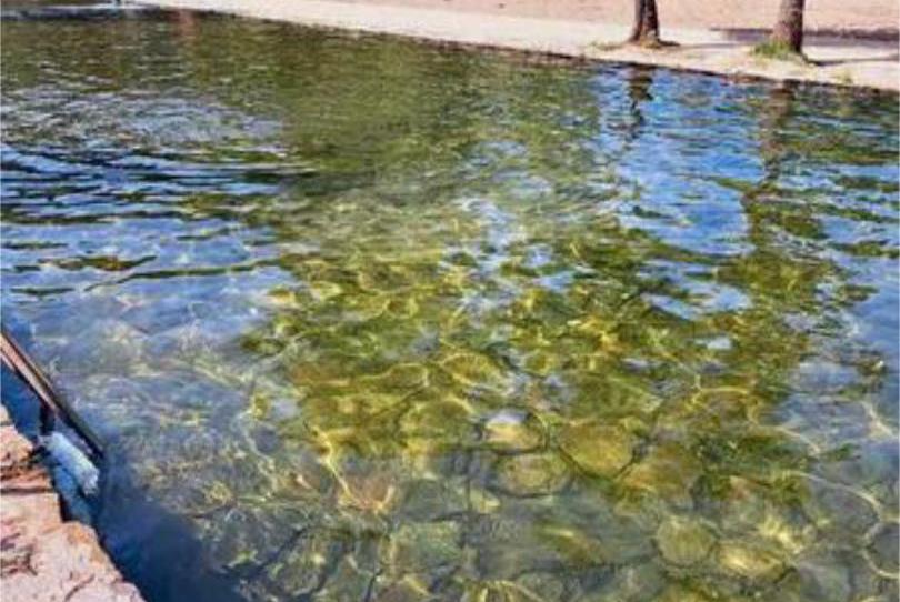 House or chalet to rent in Pedanías de Badajoz, Badajoz - image 1 Photo 1 of House or chalet to rent in Pedanías de Badajoz, Badajoz