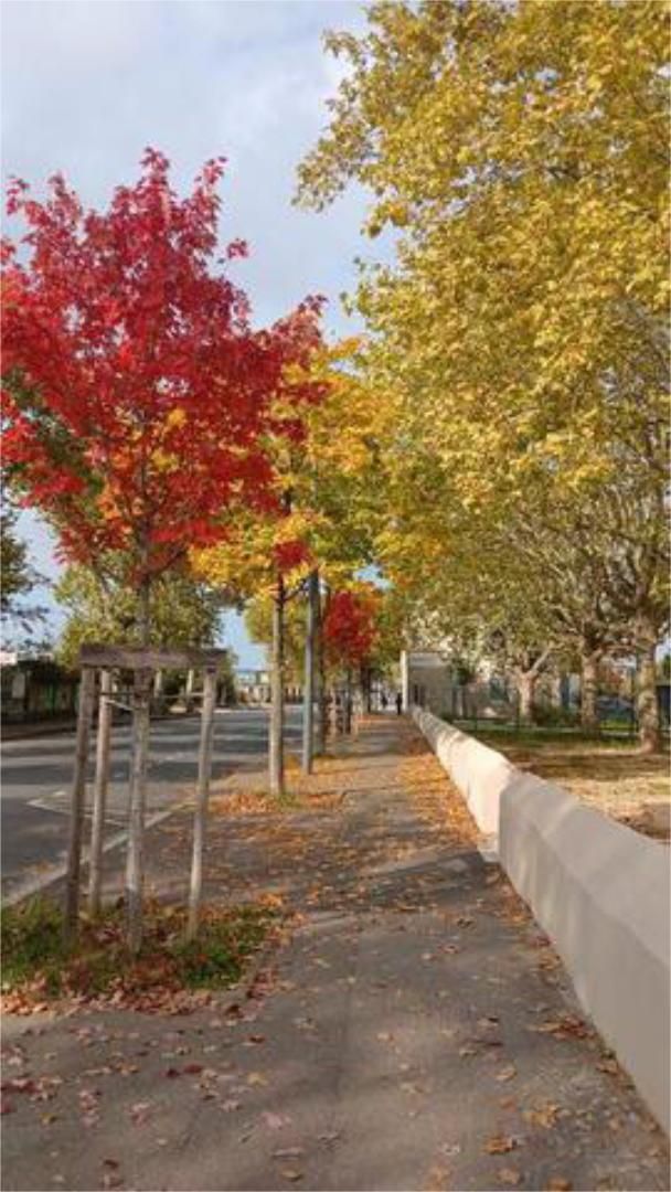 Exterior view of Flat for sale in Salt