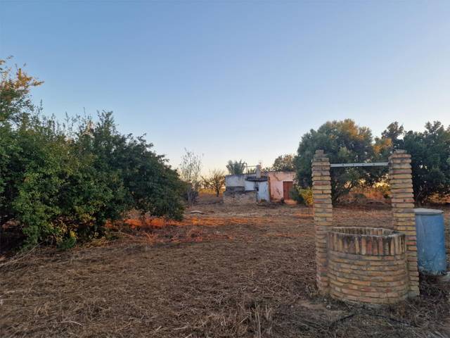 Terreno en Venta en Camino de Nápoles, 2 en Pelagatos - Pago del Humo