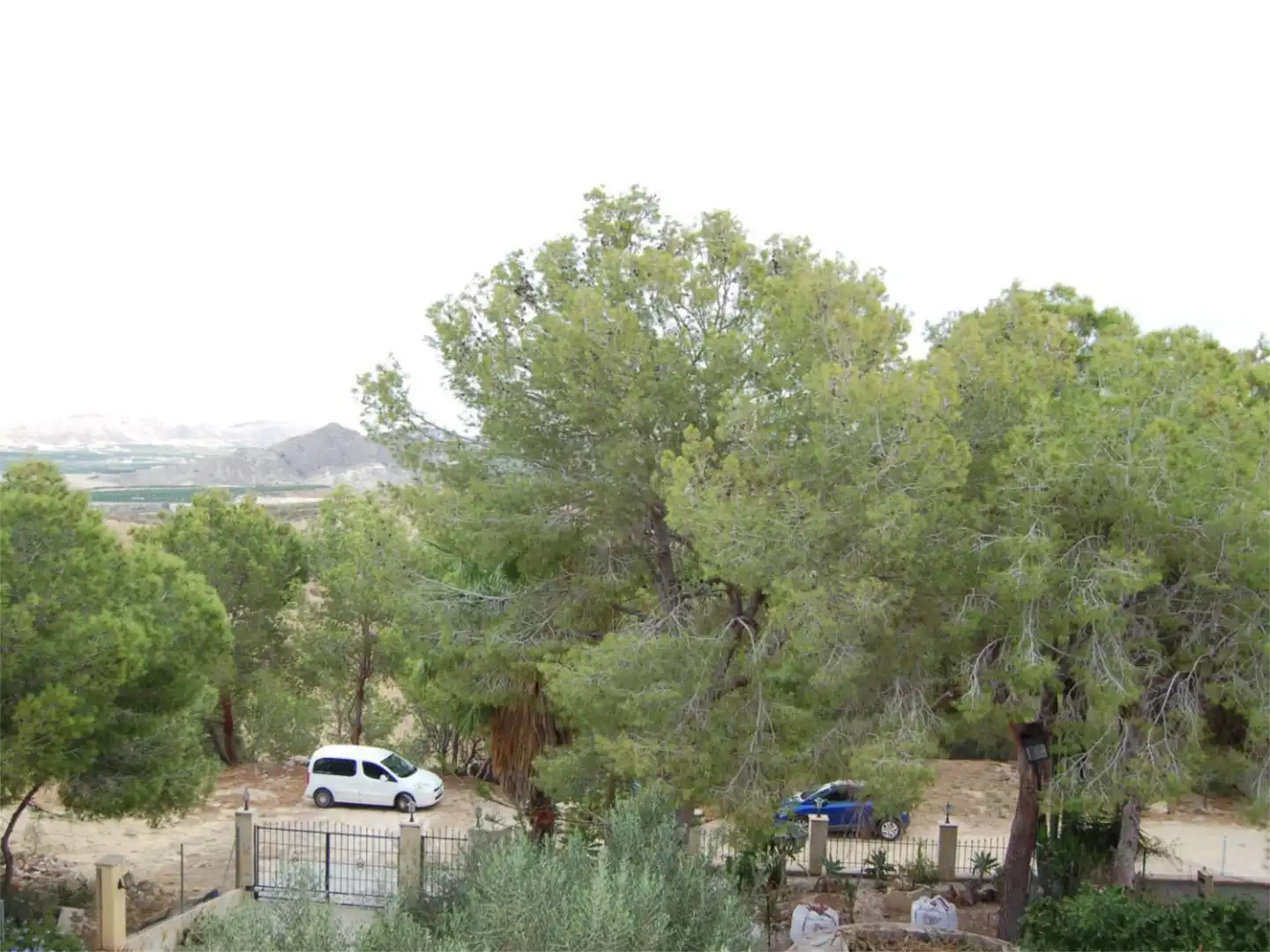 Casa o chalet en venta en Urbanización la Pinada, 37, Cañadas de San Pedro Casa o chalet en venta en Murcia con Aire acondicionado, Calefacción y Jardín privado