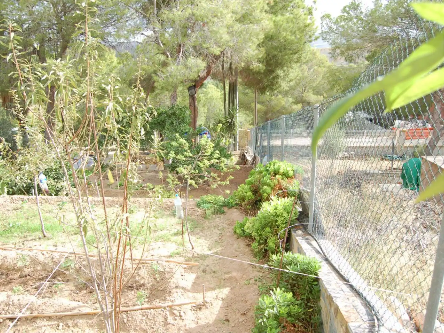 Casa o chalet en venta en Urbanización la Pinada, 37, Cañadas de San Pedro Jardín de Casa o chalet en venta en Murcia con Aire acondicionado, Calefacción y Jardín privado