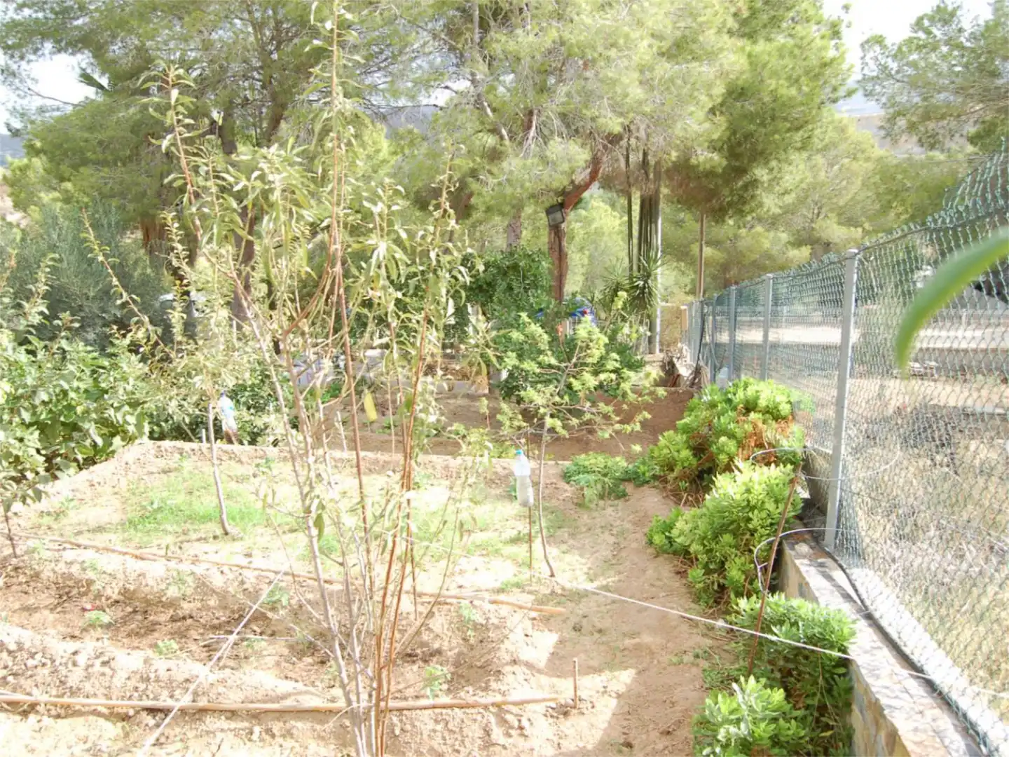 Casa o chalet en venta en Urbanización la Pinada, 37, Cañadas de San Pedro Jardín de Casa o chalet en venta en Murcia con Aire acondicionado, Calefacción y Jardín privado