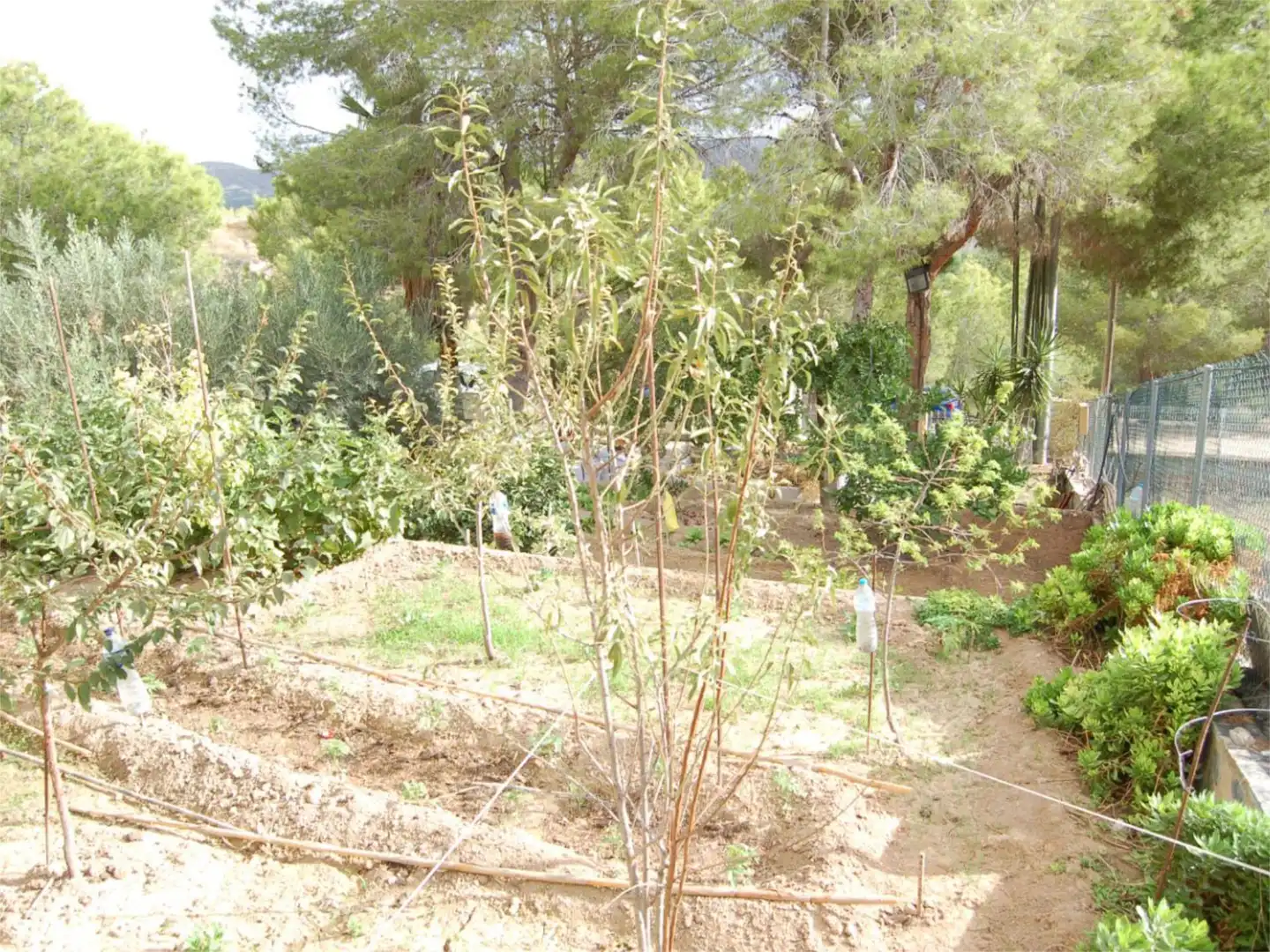 Casa o chalet en venta en Urbanización la Pinada, 37, Cañadas de San Pedro Jardín de Casa o chalet en venta en Murcia con Aire acondicionado, Calefacción y Jardín privado
