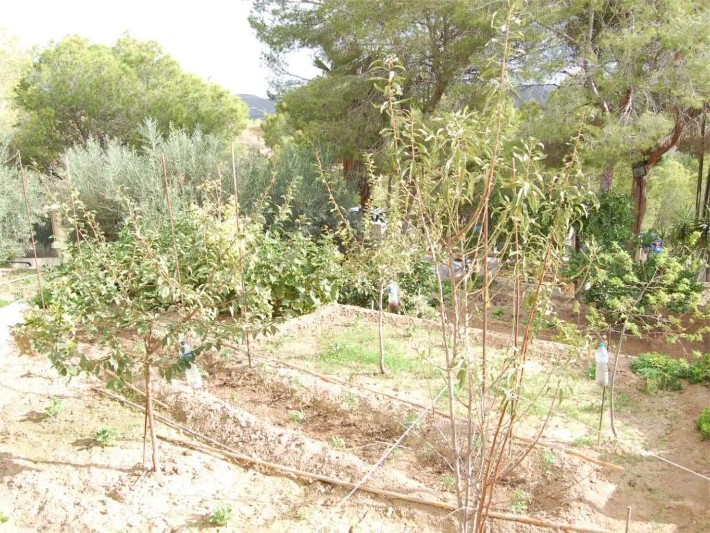 Casa o chalet en venta en Urbanización la Pinada, 37, Cañadas de San Pedro Jardín de Casa o chalet en venta en Murcia con Aire acondicionado, Calefacción y Jardín privado