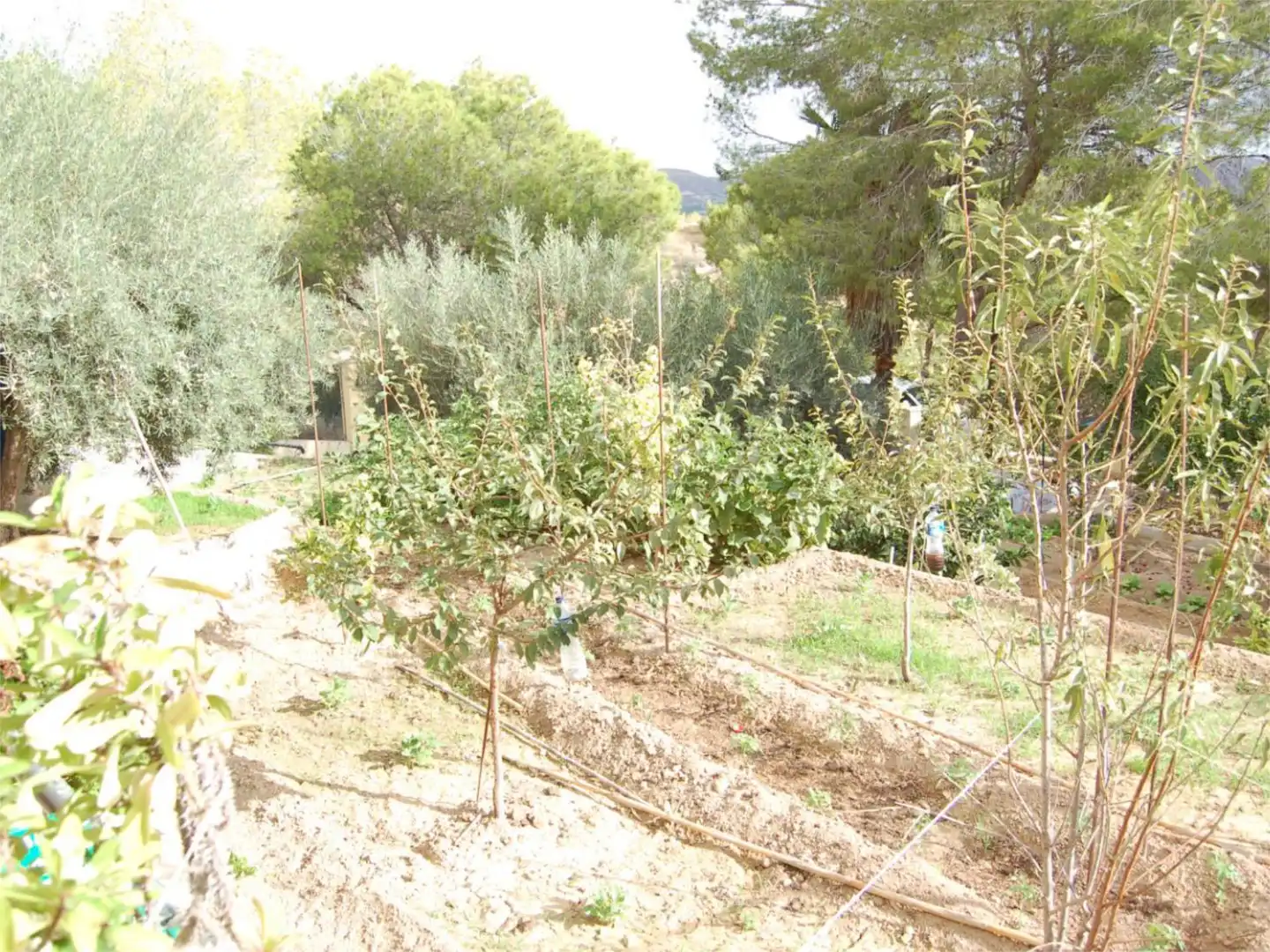 Casa o chalet en venta en Urbanización la Pinada, 37, Cañadas de San Pedro Jardín de Casa o chalet en venta en Murcia con Aire acondicionado, Calefacción y Jardín privado