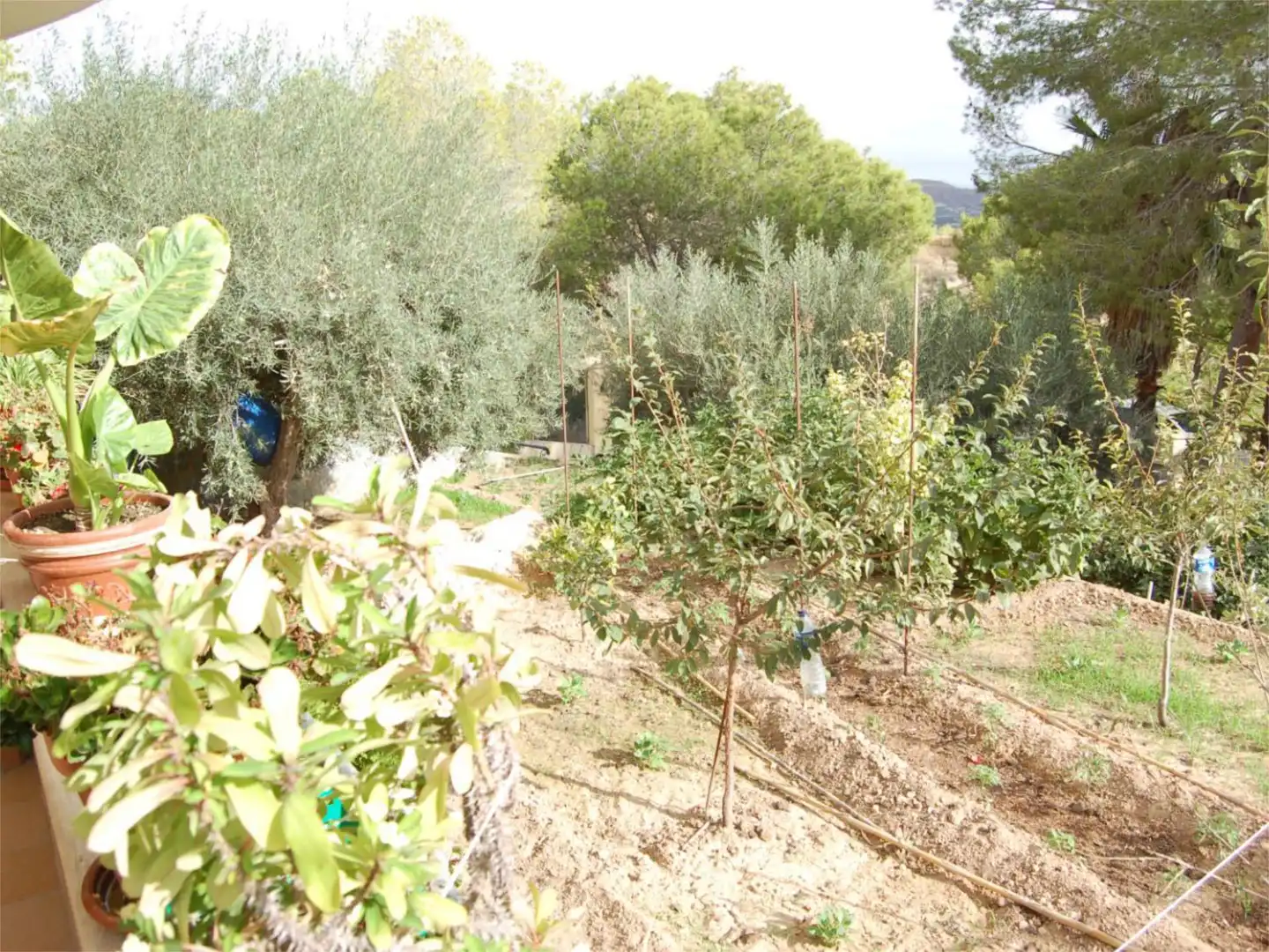 Casa o chalet en venta en Urbanización la Pinada, 37, Cañadas de San Pedro Jardín de Casa o chalet en venta en Murcia con Aire acondicionado, Calefacción y Jardín privado