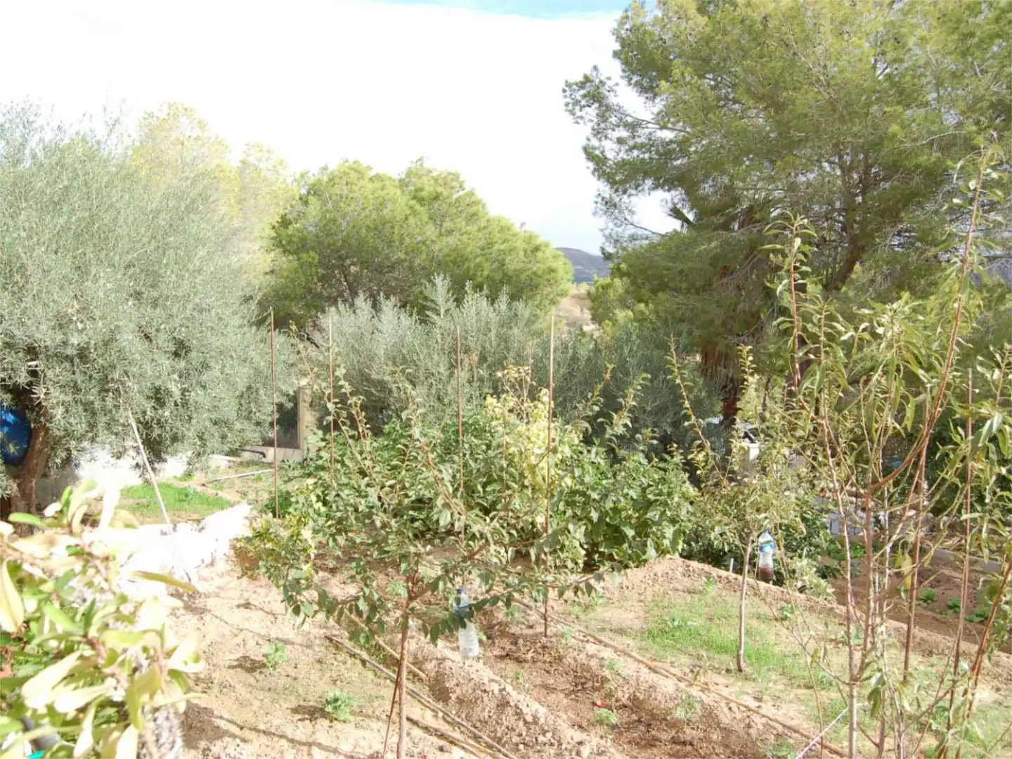 Casa o chalet en venta en Urbanización la Pinada, 37, Cañadas de San Pedro Jardín de Casa o chalet en venta en Murcia con Aire acondicionado, Calefacción y Jardín privado