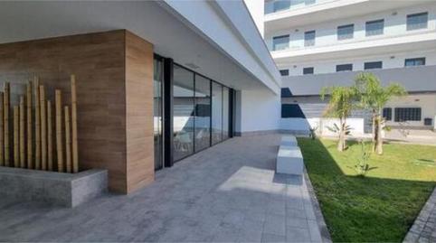 Pis de lloguer a San José de la Rinconada, Sevilla - imatge 3 Foto 3 de Pis de lloguer a San José de la Rinconada, Sevilla