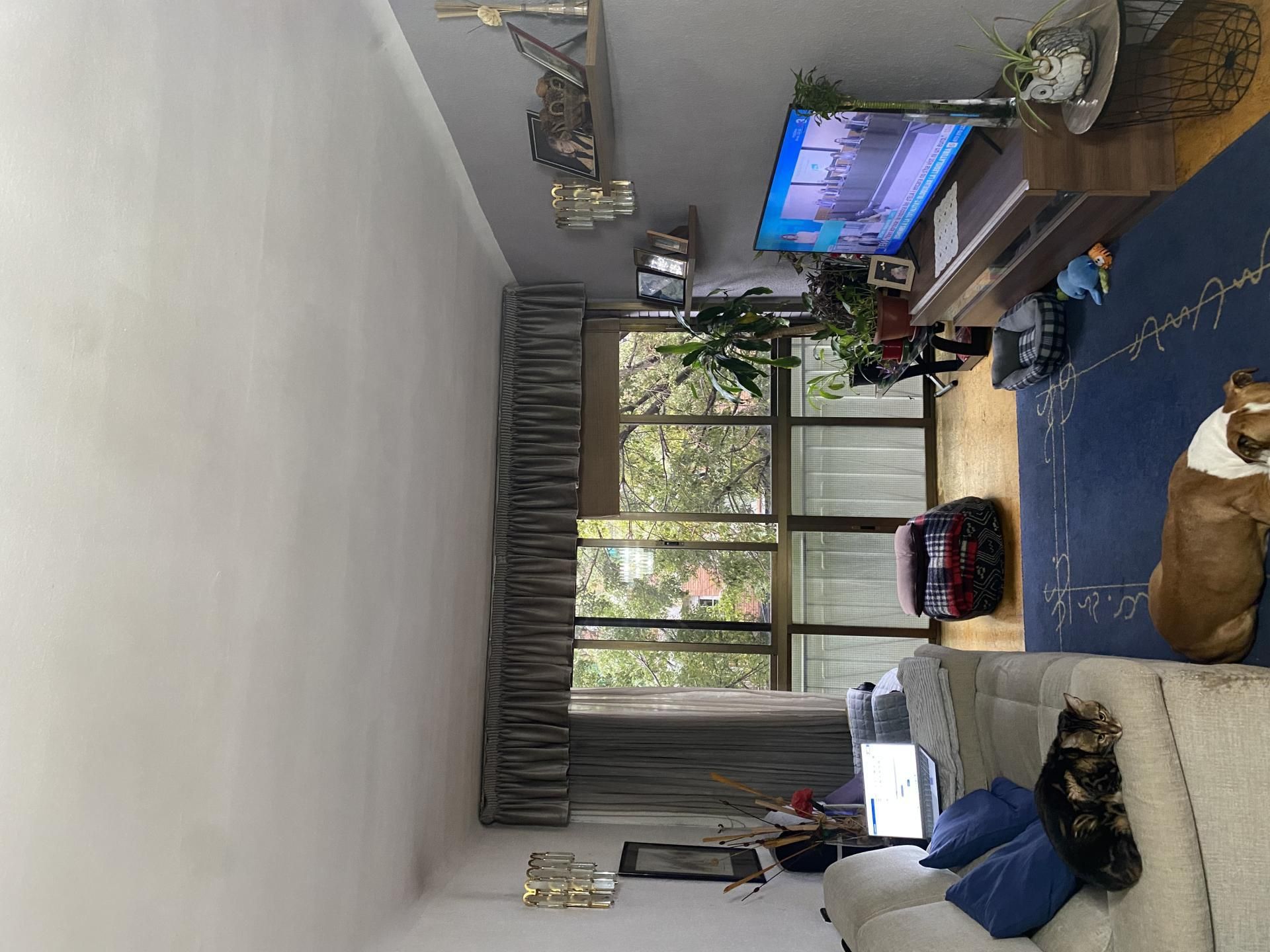 Sala d'estar de Pis en venda en Santa Coloma de Gramenet