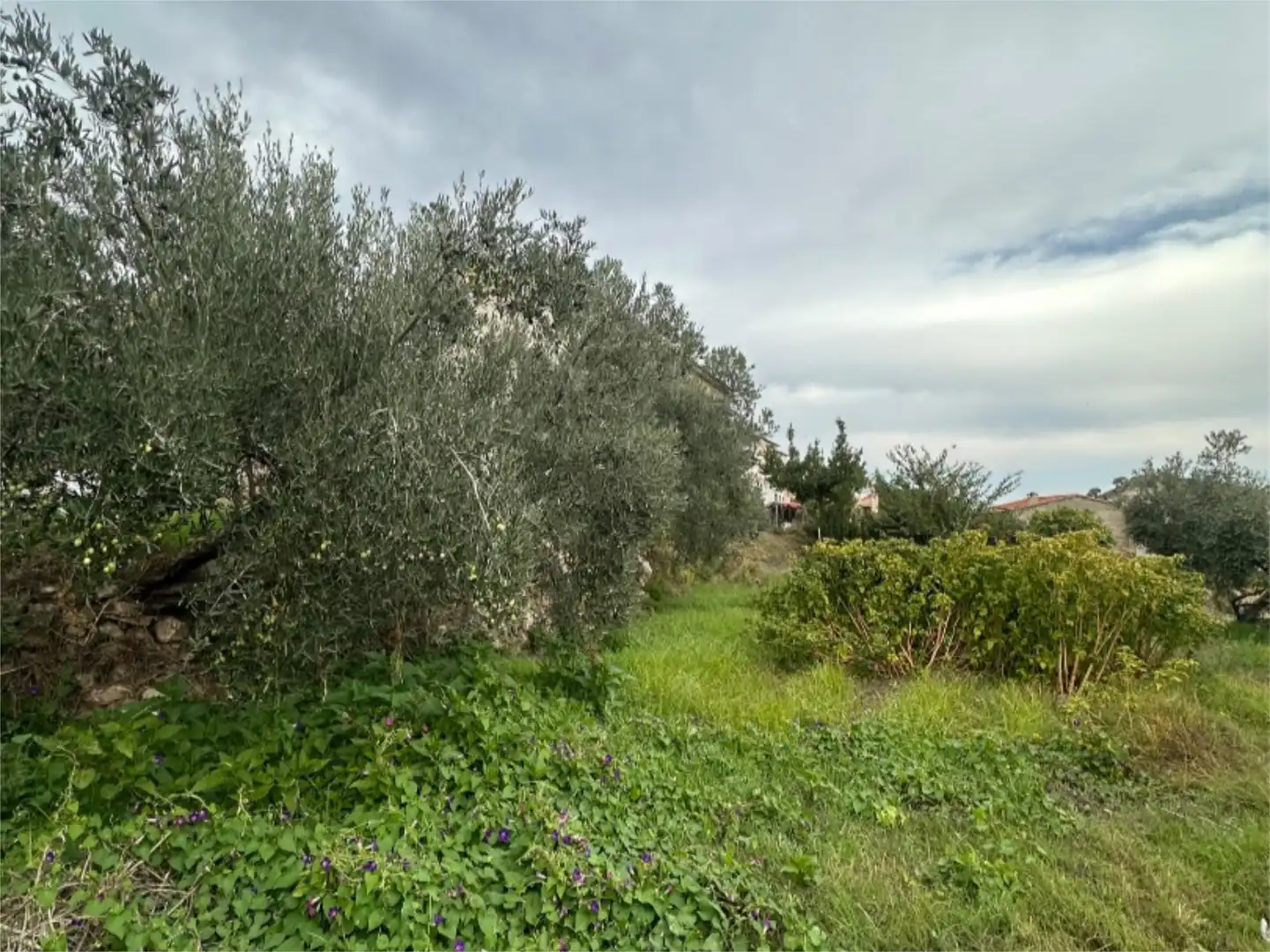 Piso en venta en Yeste con Jardín privado, Terraza y Trastero