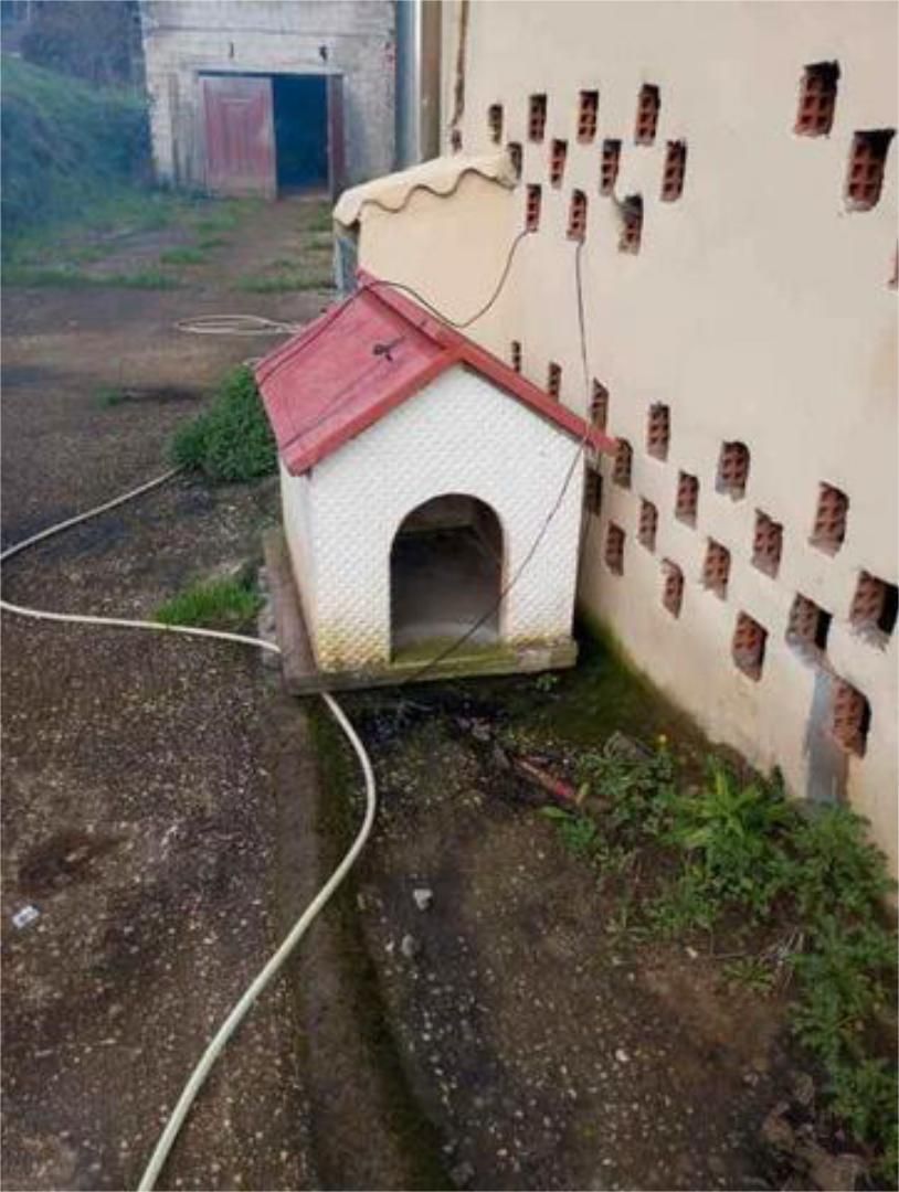 Exterior view of House or chalet for sale in Ortigueira