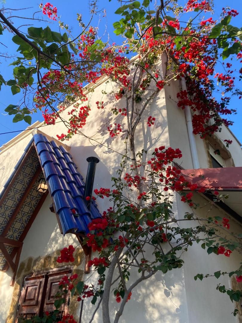 Country house for sale in Diseminado Camino Almazara, 1, Alguazas Exterior view of Country house for sale in Alguazas with Air Conditioner, Terrace and Swimming Pool