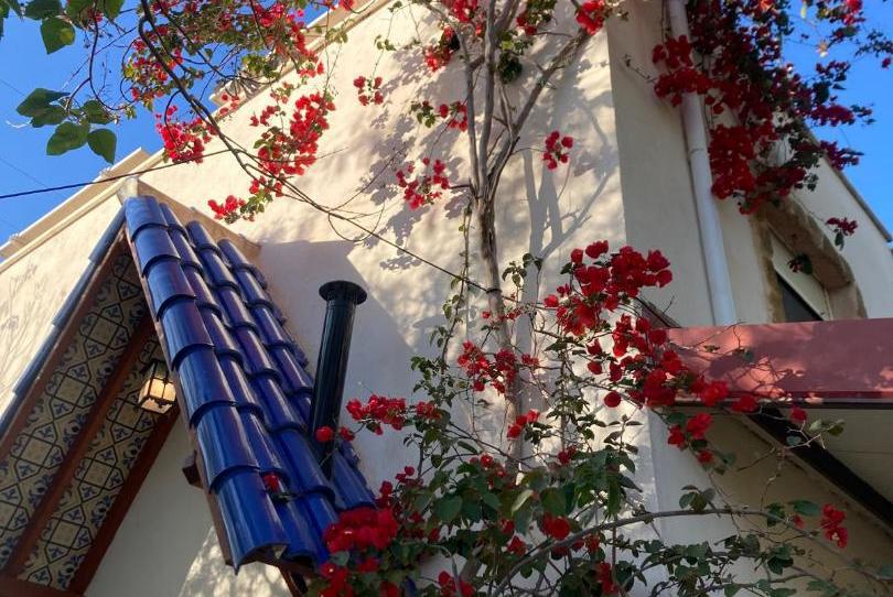 Country house for sale in Diseminado Camino Almazara, 1, Alguazas, Murcia - image 1 Photo 1 of Country house for sale in Diseminado Camino Almazara, 1, Alguazas, Murcia