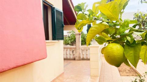 Flat for sale in Carrer Salvador Galmés I Sanxo, 3, Cala Santanyí, Illes Balears - image 3 Photo 3 of Flat for sale in Carrer Salvador Galmés I Sanxo, 3, Cala Santanyí, Illes Balears