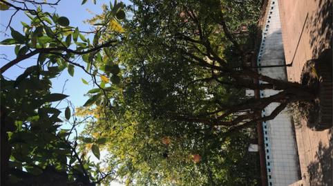 Foto 4 de Casa o xalet en venda a Calle Abad Sansón, 6, El Brillante -El Naranjo - El Tablero, Córdoba