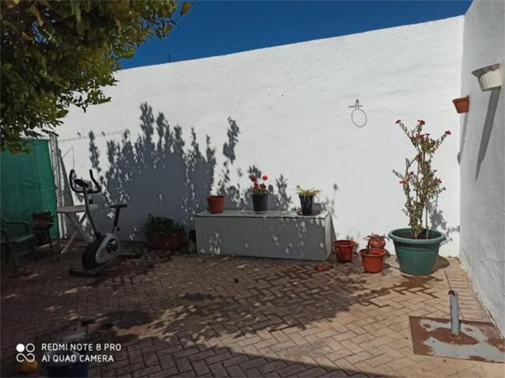 House or chalet to rent in Barrio Bajo Garden of House or chalet to rent in San Juan de Aznalfarache with Private garden and Terrace