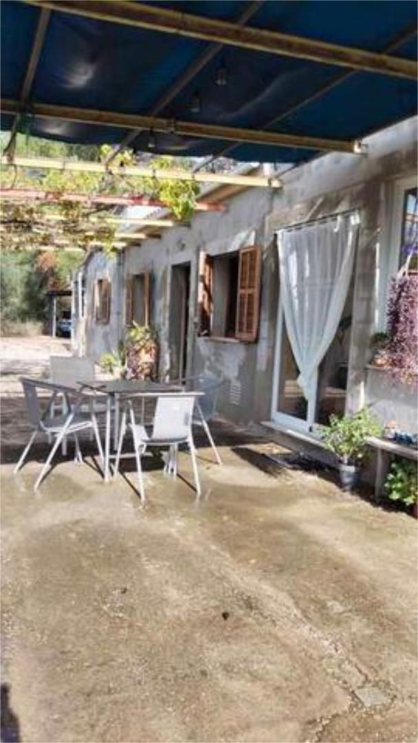 Garden of House or chalet for sale in  Palma de Mallorca  with Private garden, Storage room and Swimming Pool