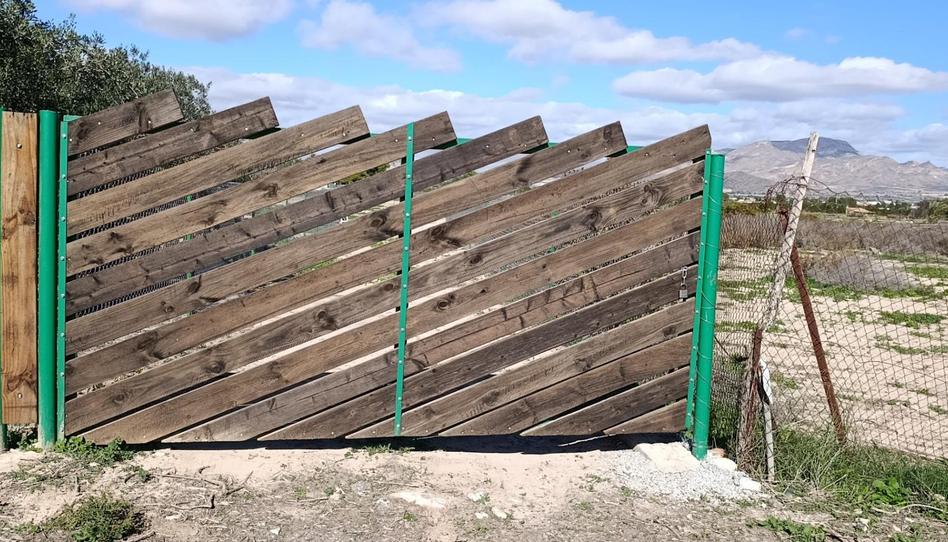 Finca rústica en venda a Plaça Poligono 4, 125, Pedanías Este, Alicante - imatge 1 Foto 1 de Finca rústica en venda a Plaça Poligono 4, 125, Pedanías Este, Alicante