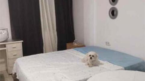 Casa o xalet de lloguer a Plaza de Toros - Santa Rita, Almería - imatge 2 Foto 2 de Casa o xalet de lloguer a Plaza de Toros - Santa Rita, Almería