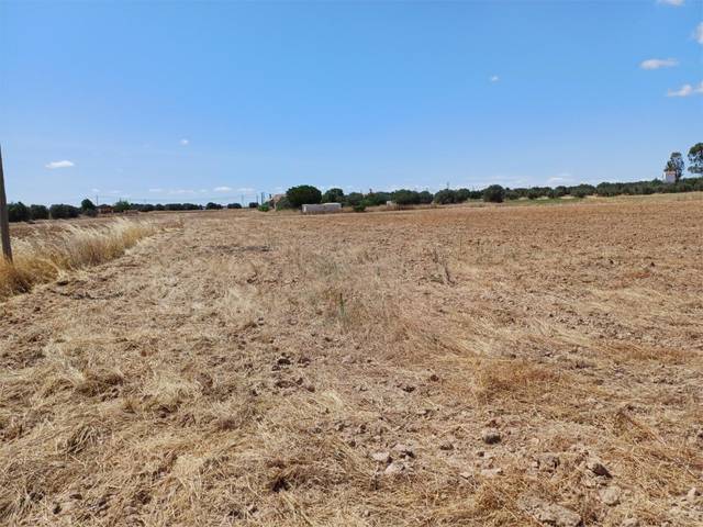 Terreno en Venta en Vial Camino, 24 en Humanes de Madrid