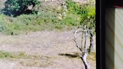 Finca rústica en venda a Aldea Barrio, 3, Celanova, Ourense - imatge 4 Foto 4 de Finca rústica en venda a Aldea Barrio, 3, Celanova, Ourense