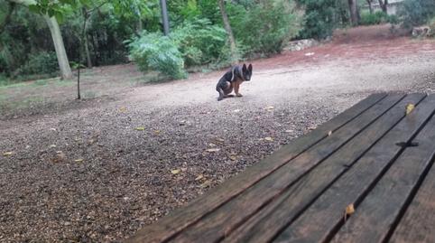 Foto 3 de Finca rústica en venda a Carrer Santa Ursula, 21, El Milà, Tarragona