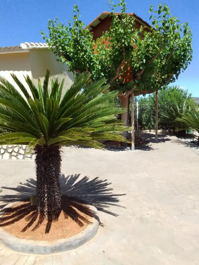 Casa o chalet en venta en Carrer del Doctor Ranter, 7, Benigànim Jardín de Casa o chalet en venta en Benigànim