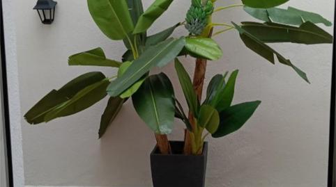 Flat to rent in Calle Alcalde Antonio Peña Rivero, 4, Teror pueblo, Las Palmas - image 4 Photo 4 of Flat to rent in Calle Alcalde Antonio Peña Rivero, 4, Teror pueblo, Las Palmas