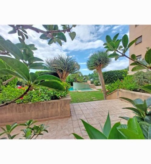 Flat to rent in Carrer de Medellín, 5, Es Portixol - Es Molinar, Illes Balears - image 1 Photo 1 of Flat to rent in Carrer de Medellín, 5, Es Portixol - Es Molinar, Illes Balears