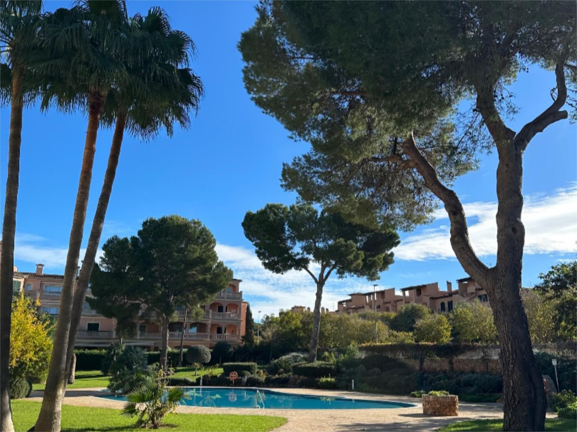 Pis de lloguer a Carrer del Tord, 8, Maioris-Puig de Ros