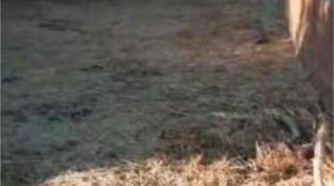 Foto 2 de Casa o chalet en venta en Dos Torres, Córdoba